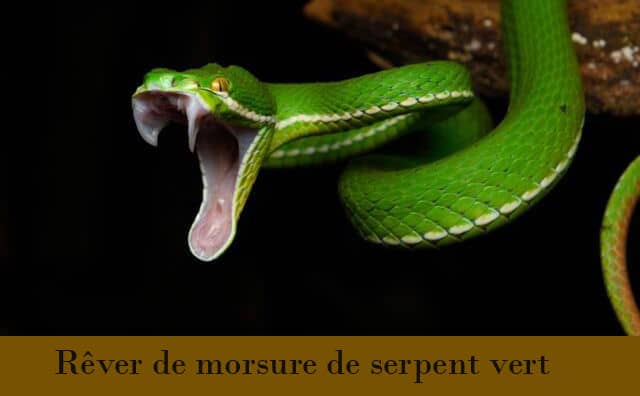 rever de serpent qui essaye de me mordre